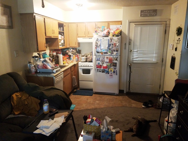 Property thumbnail image