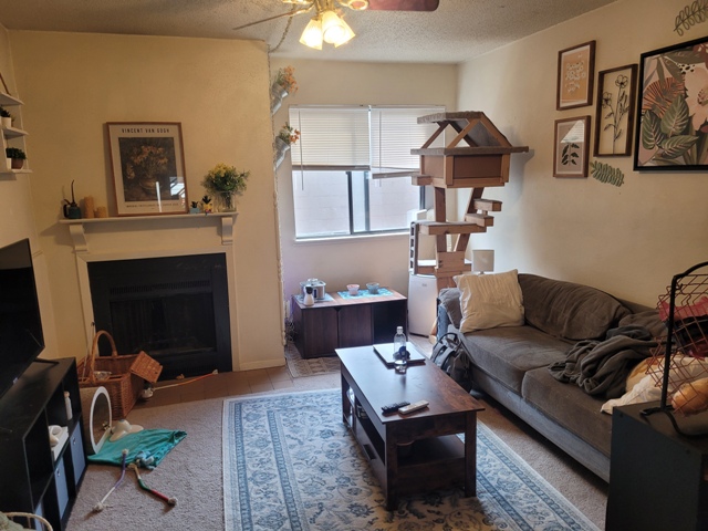 1135 Pennsylvania Ave - 4